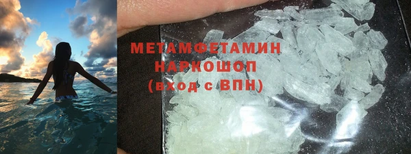 прущие грибы Пролетарск