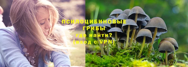 гидра Ростов