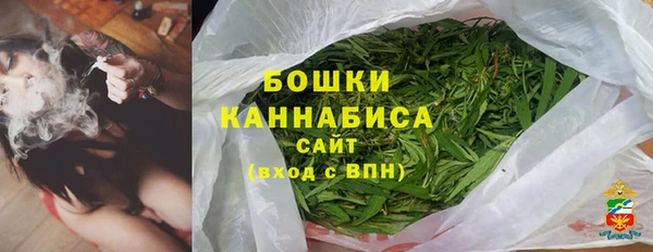 шишки Ельня